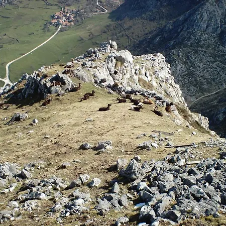 Apartamento Viviendas De Uso Turistico La Arboleda I Y Ii *