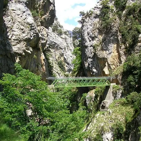 Viviendas De Uso Turistico La Arboleda I Y Ii * コロンブレス