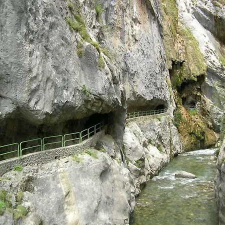 Viviendas De Uso Turistico La Arboleda I Y II Colombres